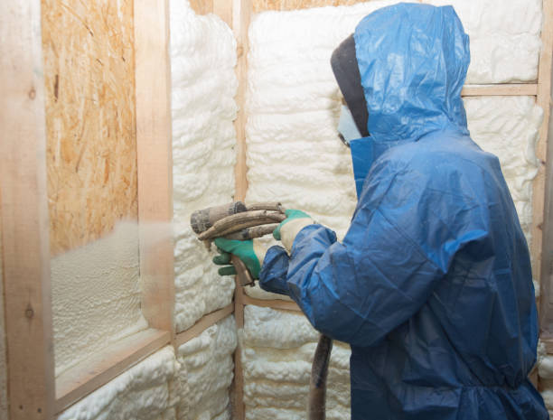 Types of Insulation We Offer in Talty, TX